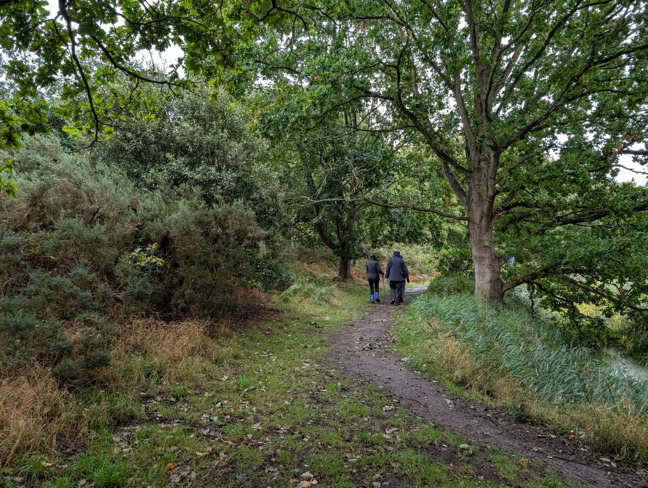 2025-09-17 02 Old Hall Farm and Walberswick.jpg